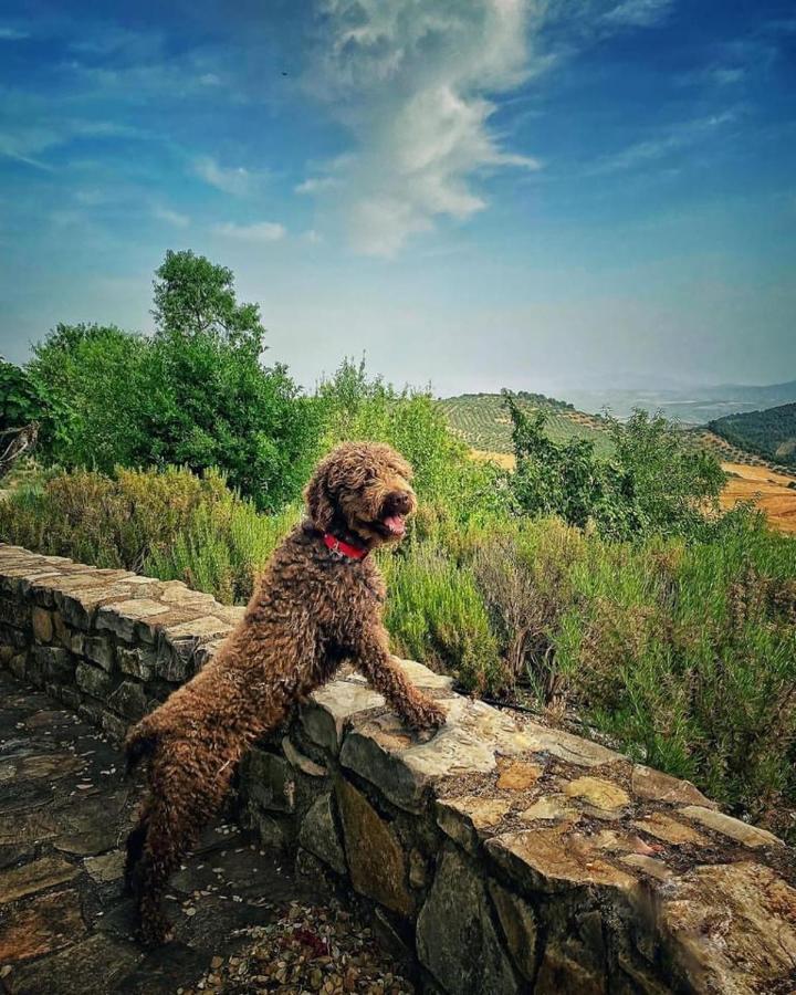 Country house Cortijo La Fe